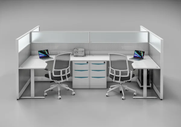 DS series office partitions