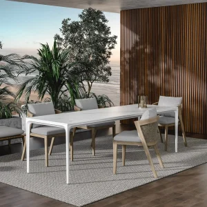 NT Series dining table - 图片 1